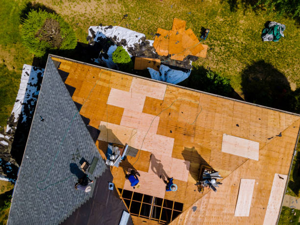 Best Roof Maintenance Services  in Franklin, GA